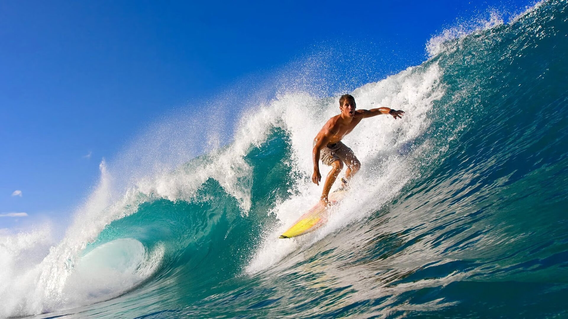 开云平台-阿圭罗对手完全无解，突尼斯强势拿下委内瑞拉，非洲雄狮的战术革命启示录  第2张